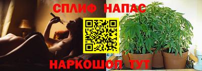 гидра Краснодар