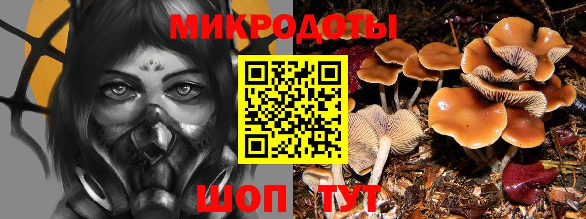 Галлюциногенные грибы GOLDEN TEACHER  Вход с VPN  Елизово 