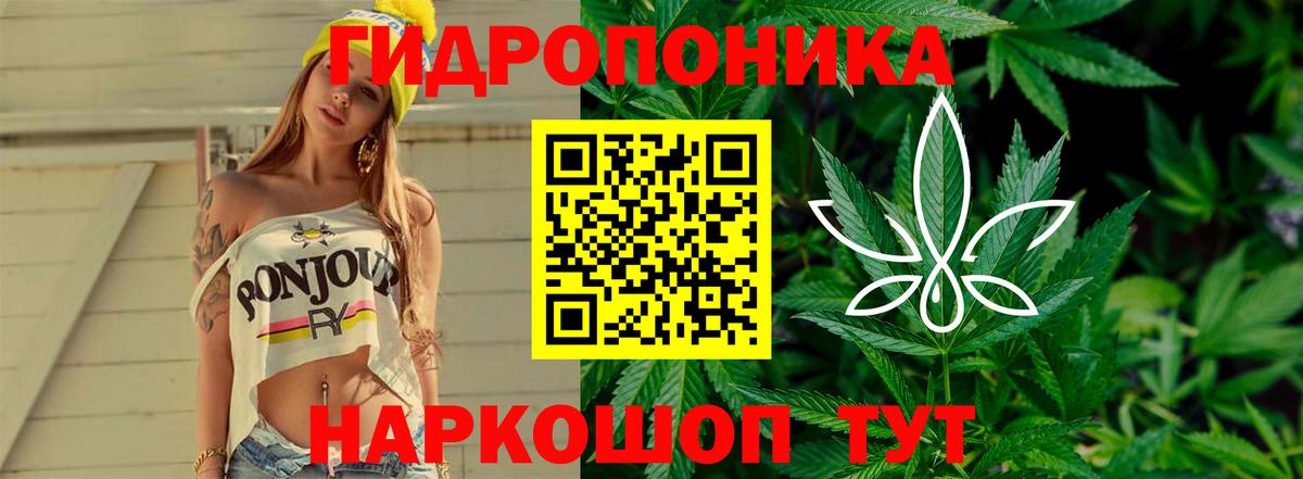Елизово  Бошки Шишки Bruce Banner  Бошки Шишки AK-47  Вход с VPN  Конопля план 